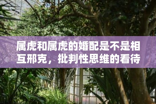 属虎和属虎的婚配是不是相互邢克，批判性思维的看待属相婚配插图