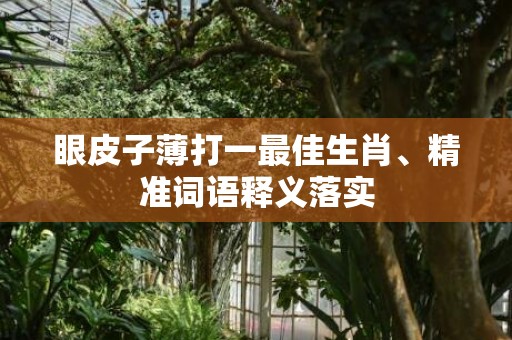 眼皮子薄打一最佳生肖、精准词语释义落实