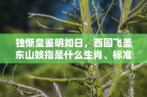 独惭皇鉴明如日，西园飞盖东山妓指是什么生肖、标准成语落实释义