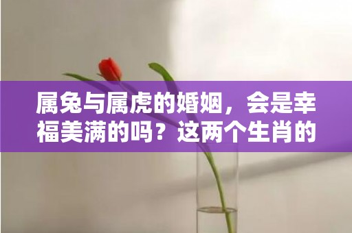 属兔与属虎的婚姻，会是幸福美满的吗？这两个生肖的结合，能否擦出不一样的火花？