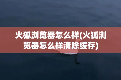 火狐浏览器怎么样(火狐浏览器怎么样清除缓存)