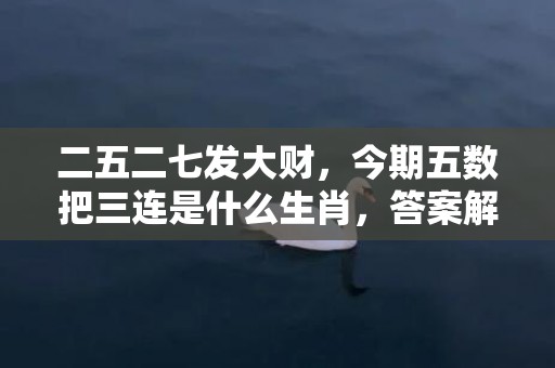 二五二七发大财，今期五数把三连是什么生肖，答案解释