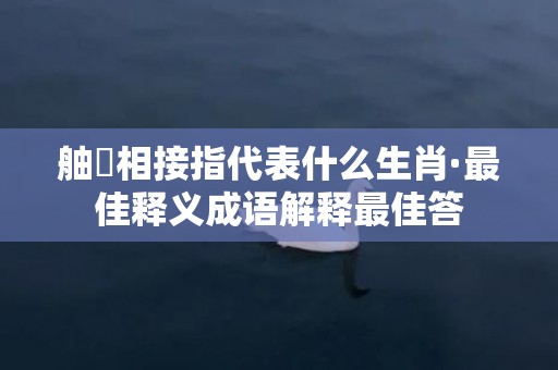 舳舮相接指代表什么生肖·最佳释义成语解释最佳答插图