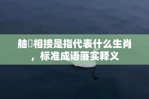 舳舮相接是指代表什么生肖，标准成语落实释义