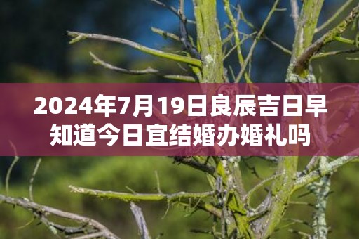 2024年7月19日良辰吉日早知道今日宜结婚办婚礼吗