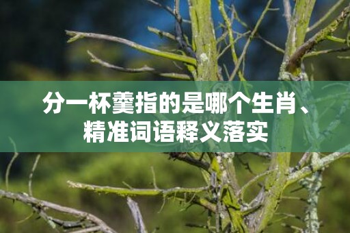 分一杯羹指的是哪个生肖、精准词语释义落实