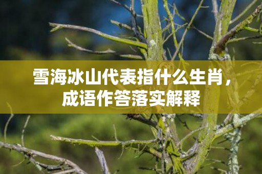 雪海冰山代表指什么生肖，成语作答落实解释