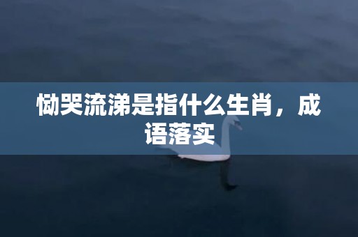 恸哭流涕是指什么生肖，成语落实