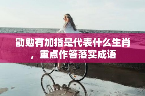 勖勉有加指是代表什么生肖，重点作答落实成语