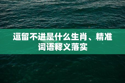 逗留不进是什么生肖、精准词语释义落实