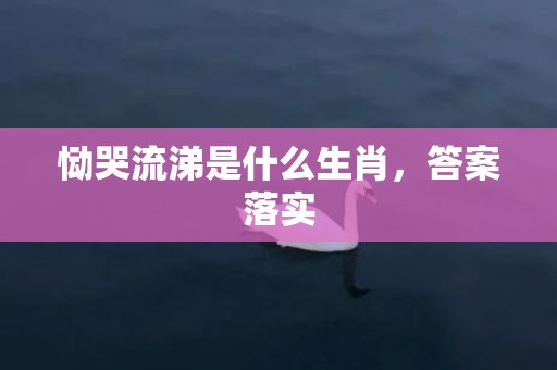 恸哭流涕是什么生肖，答案落实