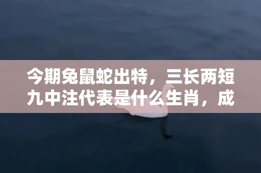 今期兔鼠蛇出特，三长两短九中注代表是什么生肖，成语精选