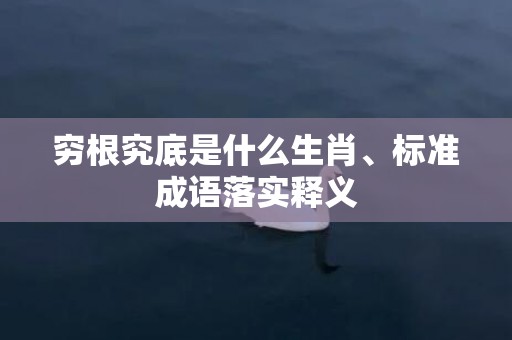 穷根究底是什么生肖、标准成语落实释义