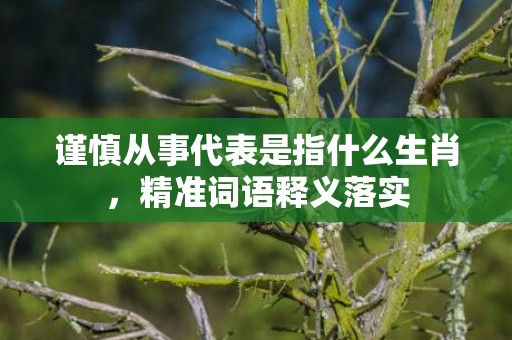 谨慎从事代表是指什么生肖，精准词语释义落实