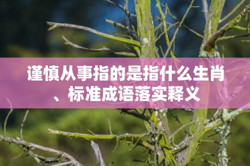 谨慎从事指的是指什么生肖、标准成语落实释义