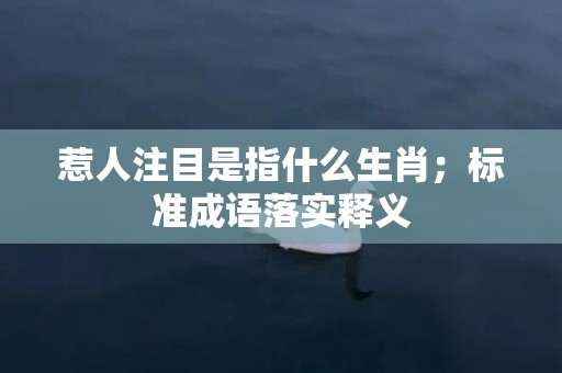 惹人注目是指什么生肖；标准成语落实释义