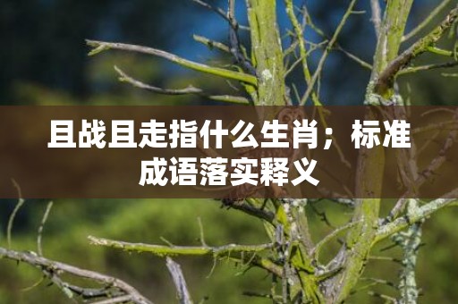 且战且走指什么生肖；标准成语落实释义