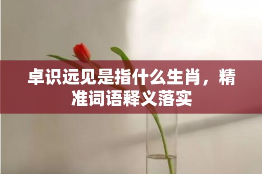 卓识远见是指什么生肖，精准词语释义落实