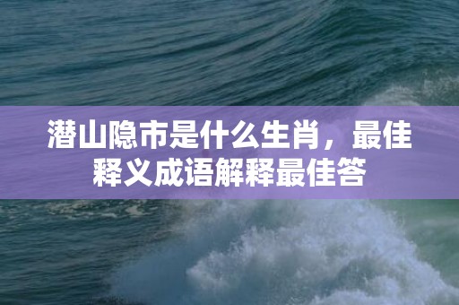 潜山隐市是什么生肖，最佳释义成语解释最佳答