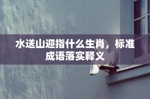 水送山迎指什么生肖，标准成语落实释义