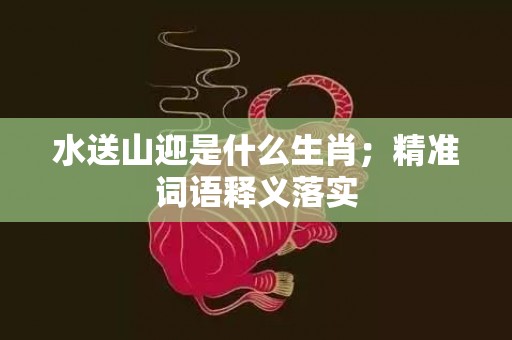 水送山迎是什么生肖；精准词语释义落实