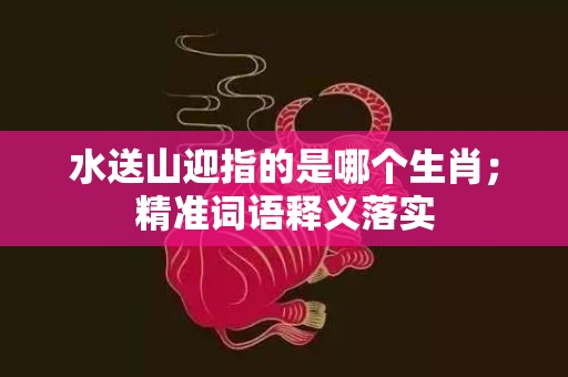 水送山迎指的是哪个生肖；精准词语释义落实