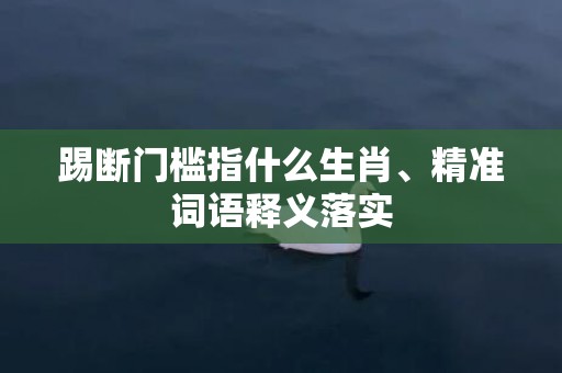 踢断门槛指什么生肖、精准词语释义落实