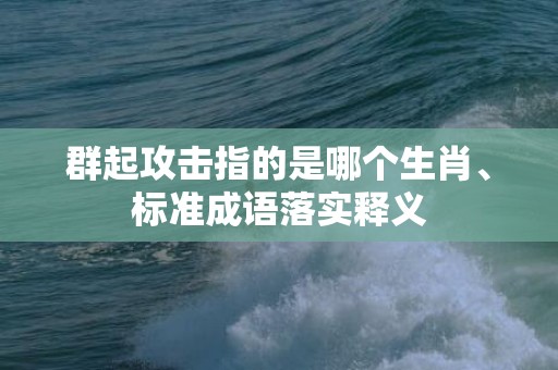 群起攻击指的是哪个生肖、标准成语落实释义