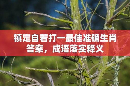 镇定自若打一最佳准确生肖答案，成语落实释义