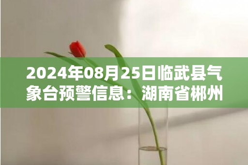 2024年08月25日临武县气象台预警信息：湖南省郴州市临武县发布暴雨橙色预警