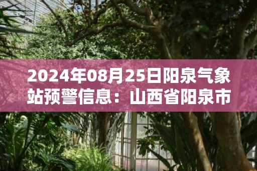 2024年08月25日阳泉气象站预警信息：山西省阳泉市发布暴雨蓝色预警