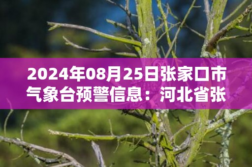 2024年08月25日张家口市气象台预警信息：河北省张家口市发布暴雨蓝色预警