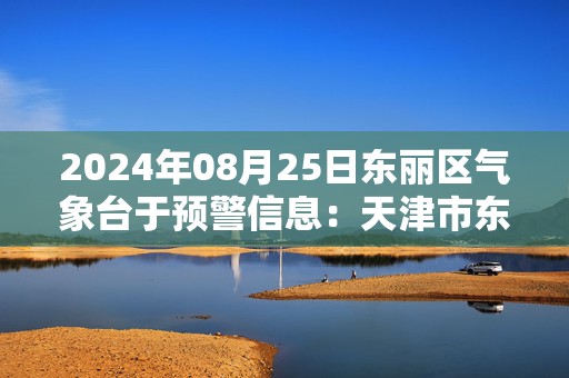 2024年08月25日东丽区气象台于预警信息：天津市东丽区更新暴雨黄色预警