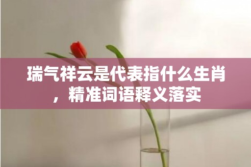 瑞气祥云是代表指什么生肖，精准词语释义落实