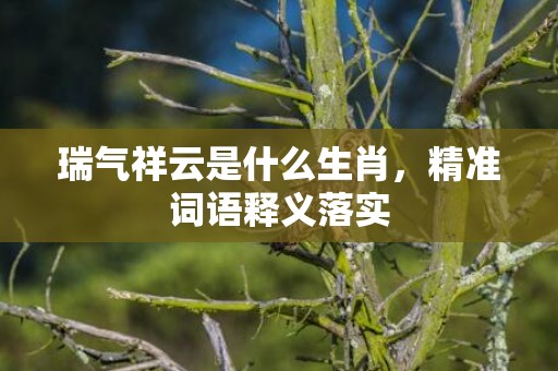 瑞气祥云是什么生肖，精准词语释义落实