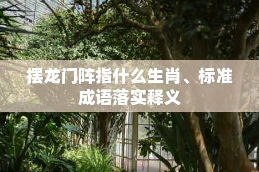 摆龙门阵指什么生肖、标准成语落实释义