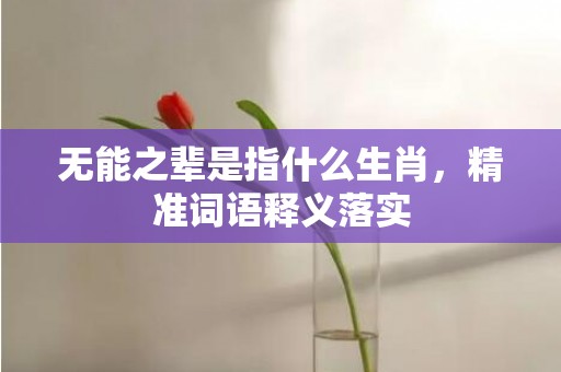 无能之辈是指什么生肖，精准词语释义落实