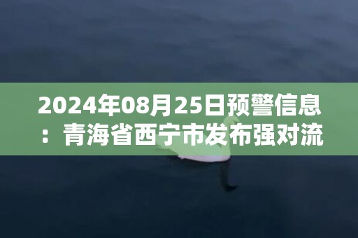 2024年08月25日预警信息：青海省西宁市发布强对流黄色预警