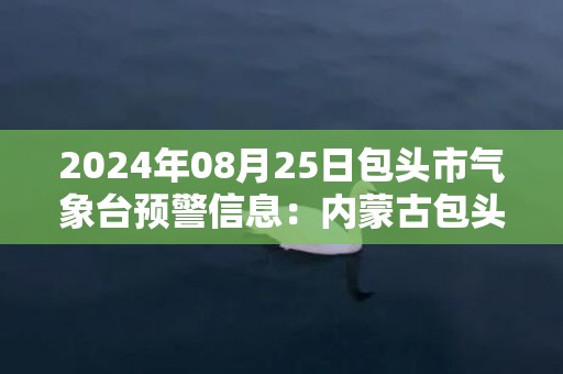 2024年08月25日包头市气象台预警信息：内蒙古包头市发布暴雨蓝色预警