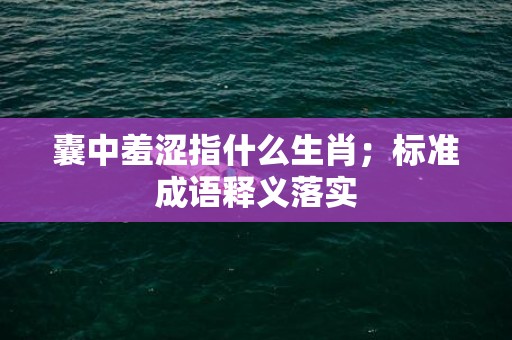 囊中羞涩指什么生肖；标准成语释义落实