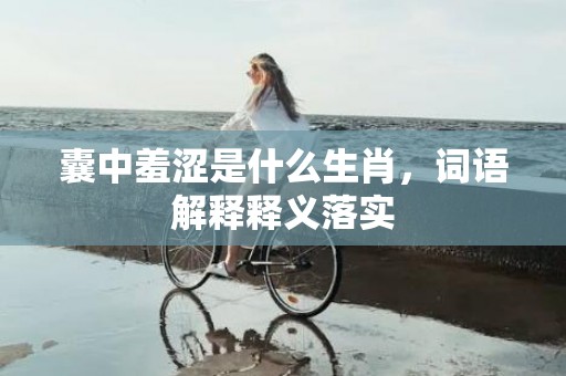 囊中羞涩是什么生肖，词语解释释义落实