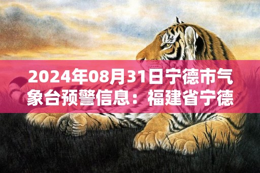 2024年08月31日宁德市气象台预警信息：福建省宁德市发布暴雨黄色预警