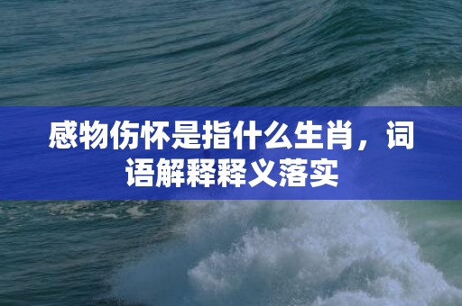 感物伤怀是指什么生肖，词语解释释义落实