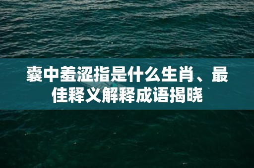 囊中羞涩指是什么生肖、最佳释义解释成语揭晓