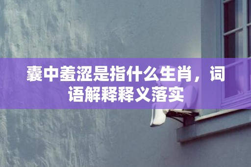 囊中羞涩是指什么生肖，词语解释释义落实