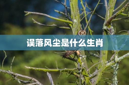 误落风尘是什么生肖