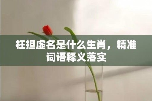 枉担虚名是什么生肖，精准词语释义落实