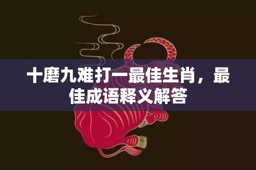 十磨九难打一最佳生肖，最佳成语释义解答