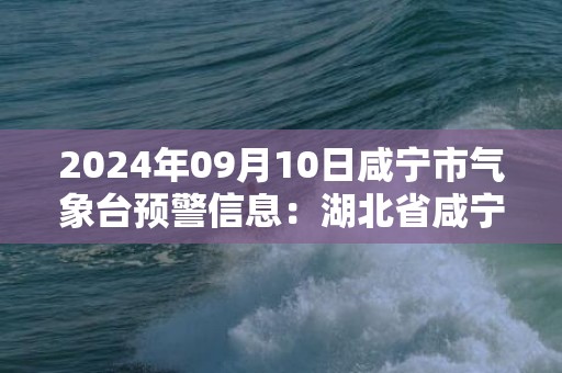 2024年09月10日咸宁市气象台预警信息：湖北省咸宁市发布高温橙色预警