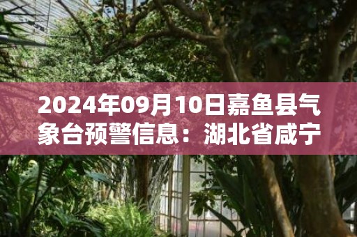 2024年09月10日嘉鱼县气象台预警信息：湖北省咸宁市嘉鱼县发布高温橙色预警